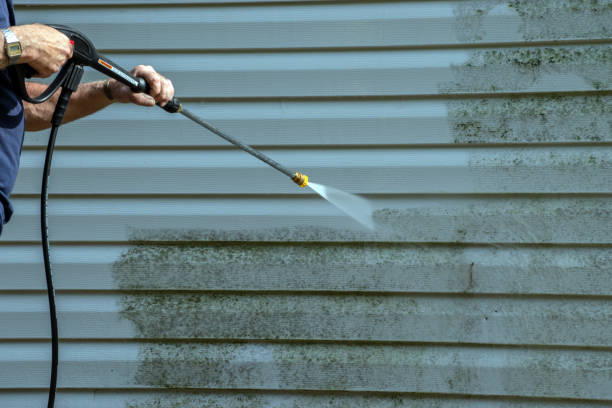 Reliable South Lakes, AK Pressure washing Solutions